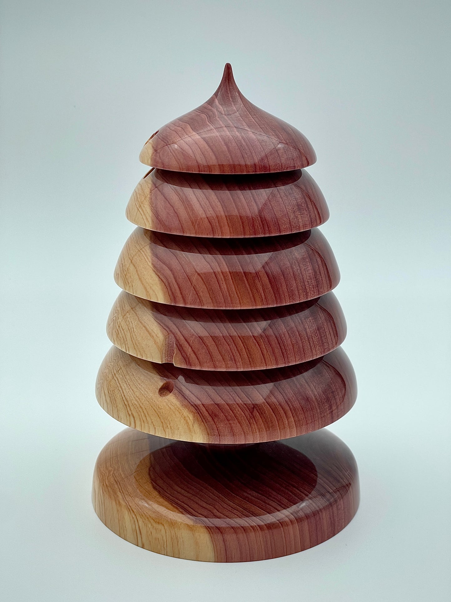 Redwood tree