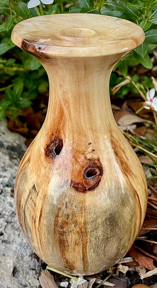 Pecan bud vase