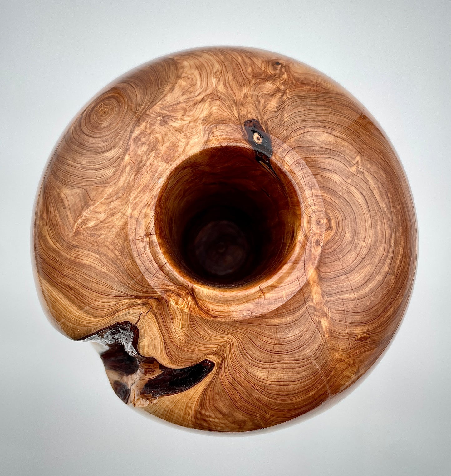 Large Texas cedar vase