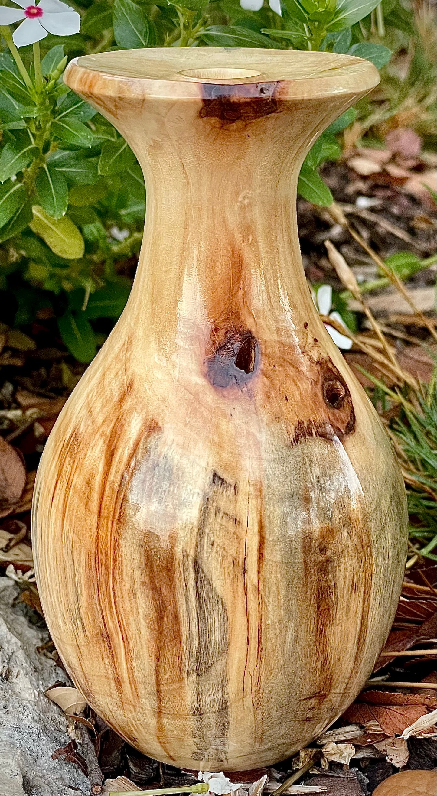 Pecan bud vase