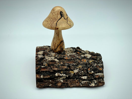 Mushroom on a log