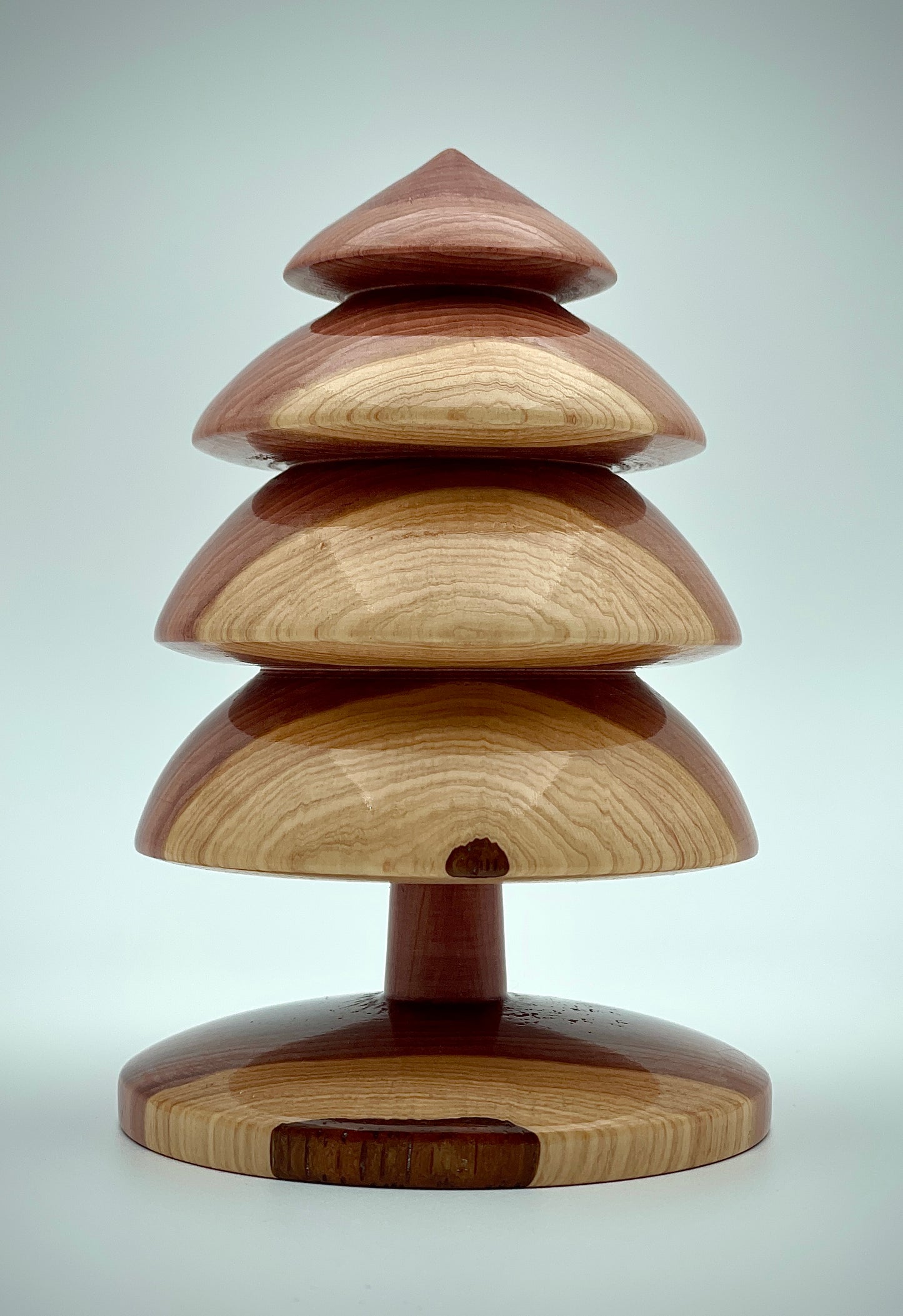 Redwood Christmas tree