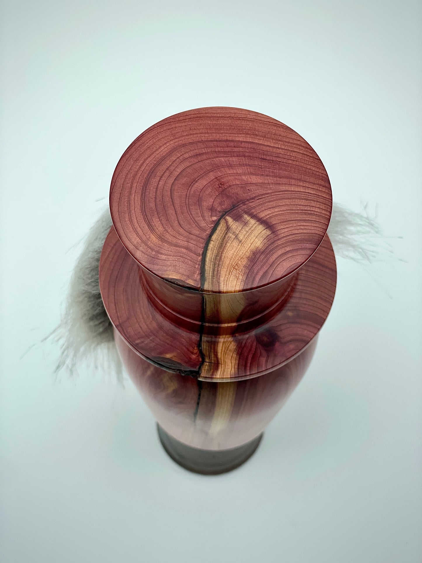 Bearded gent in top hat