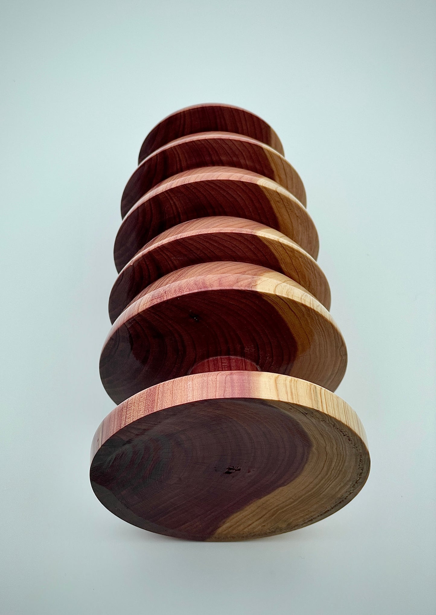 Western redwood tree
