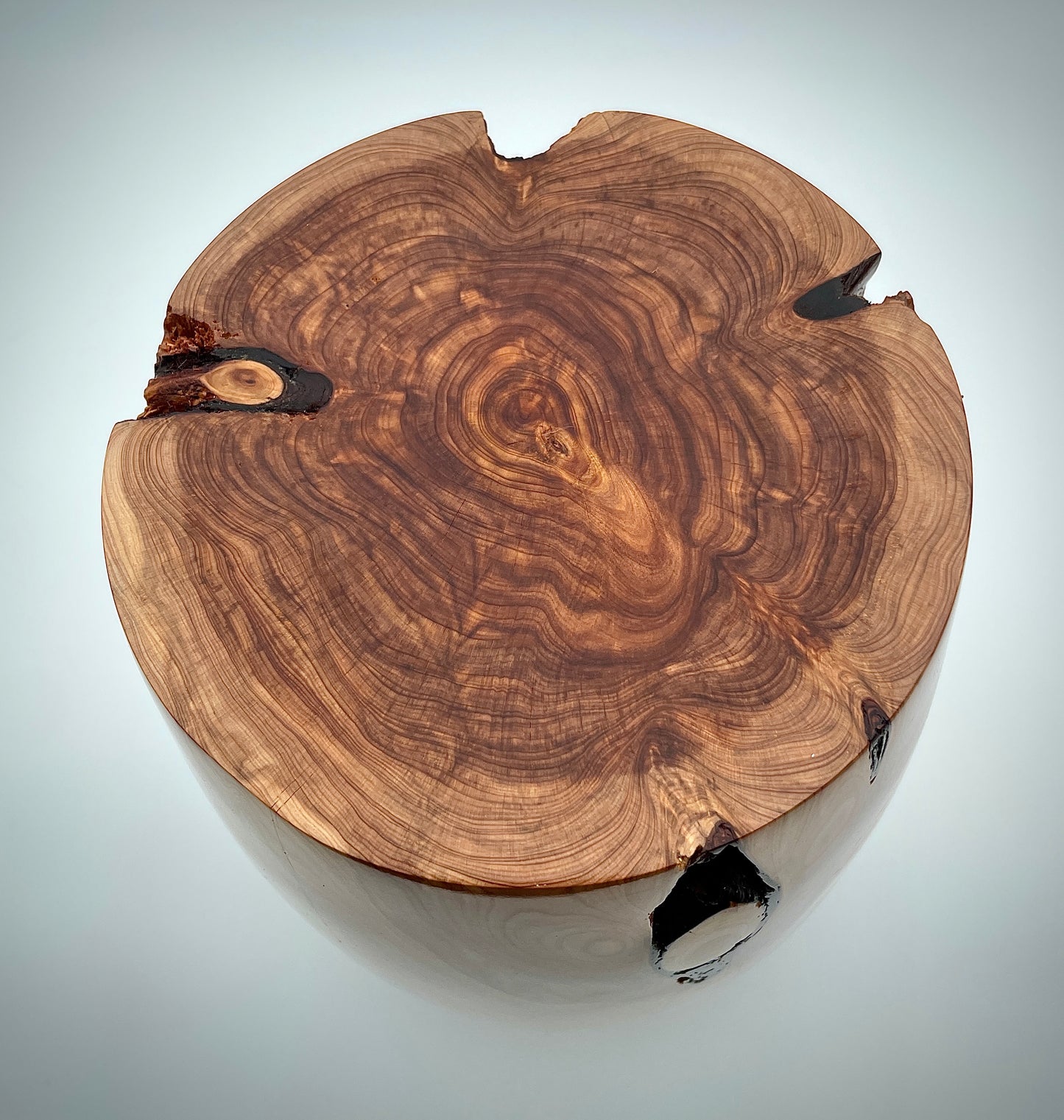 Large Texas cedar vase