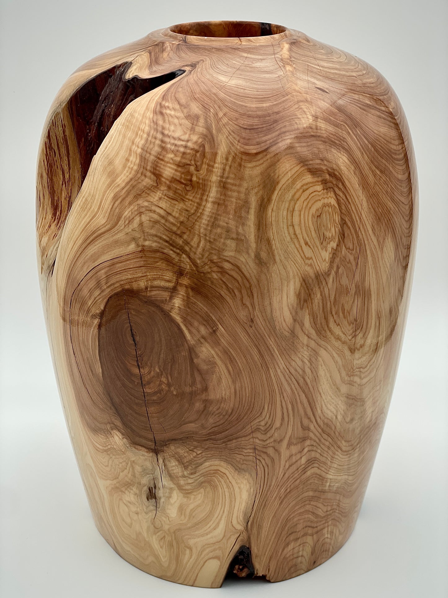 Large Texas cedar vase