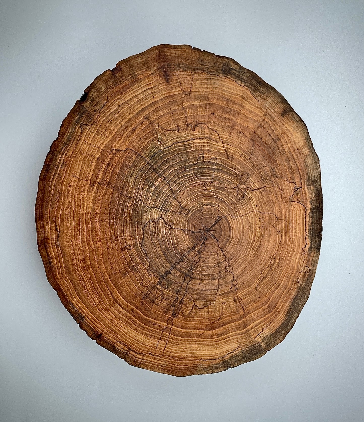 Pecan ashtray