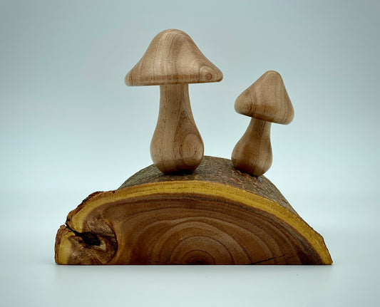 Mushroom on a log
