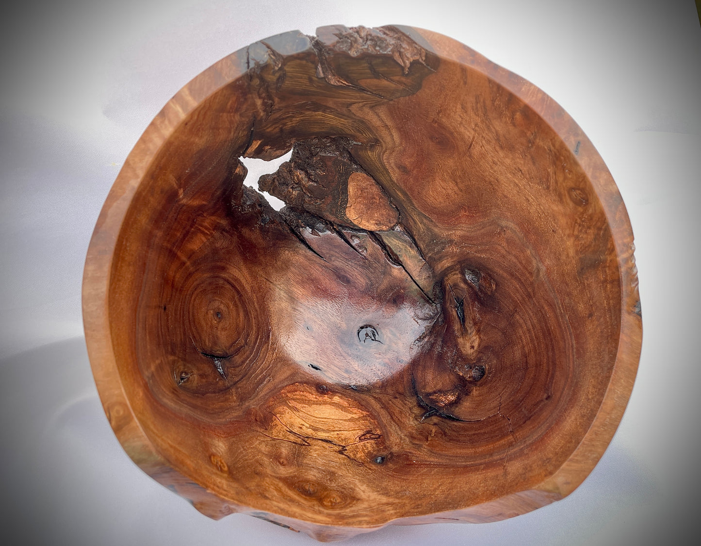 Black walnut burl bowl