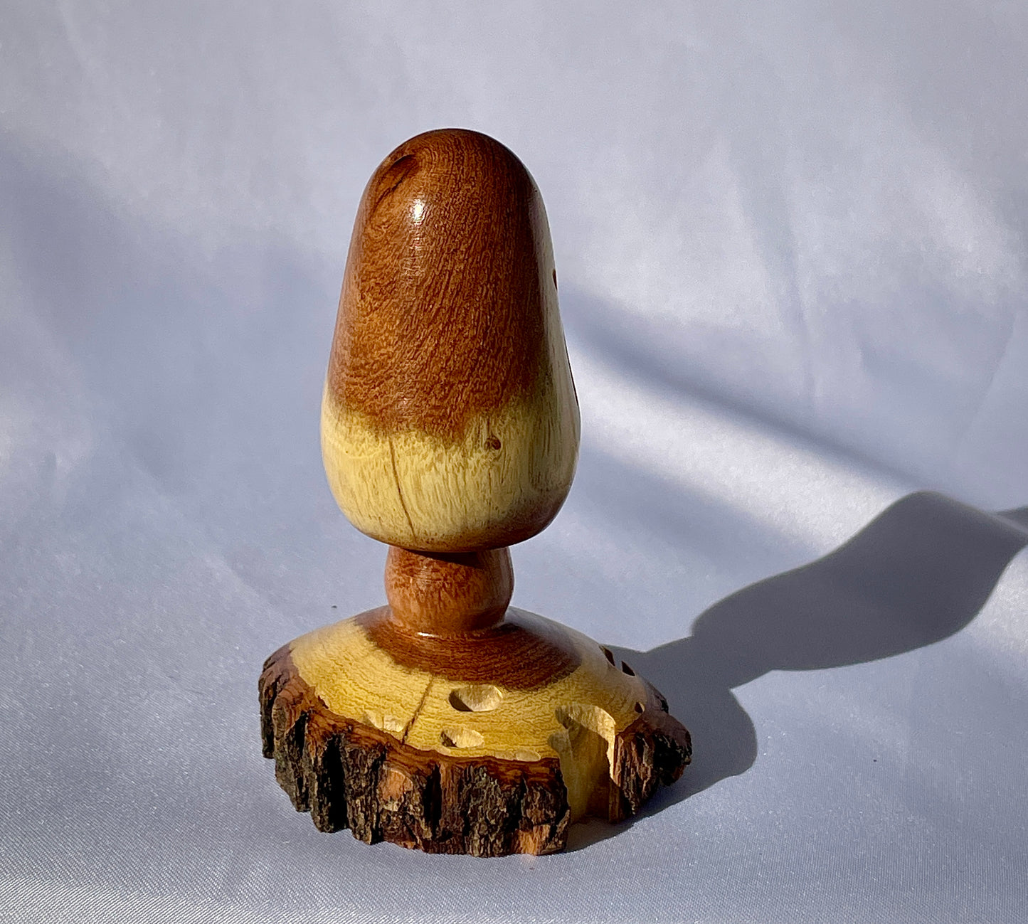 Emerging mushroom