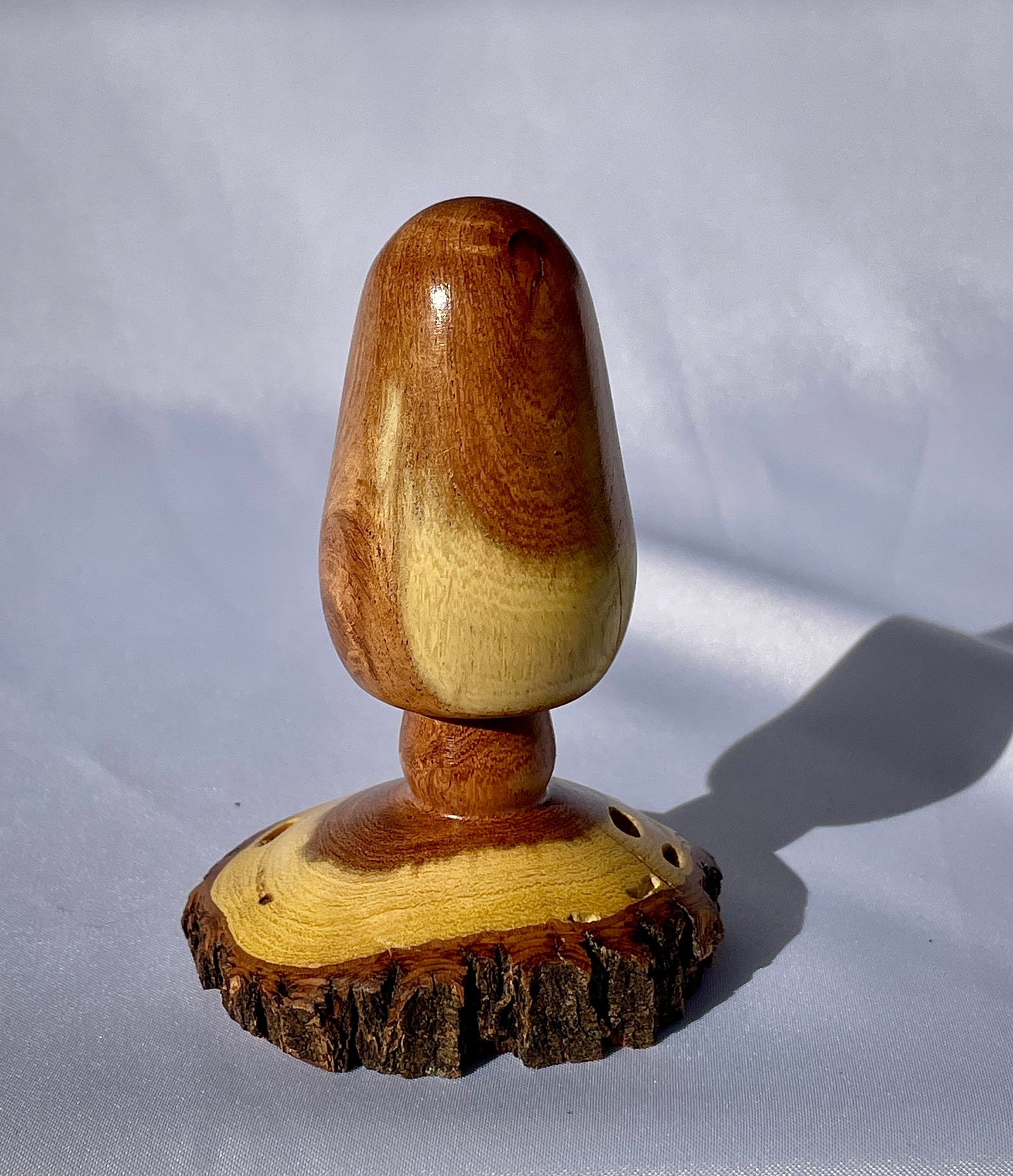 Emerging mushroom