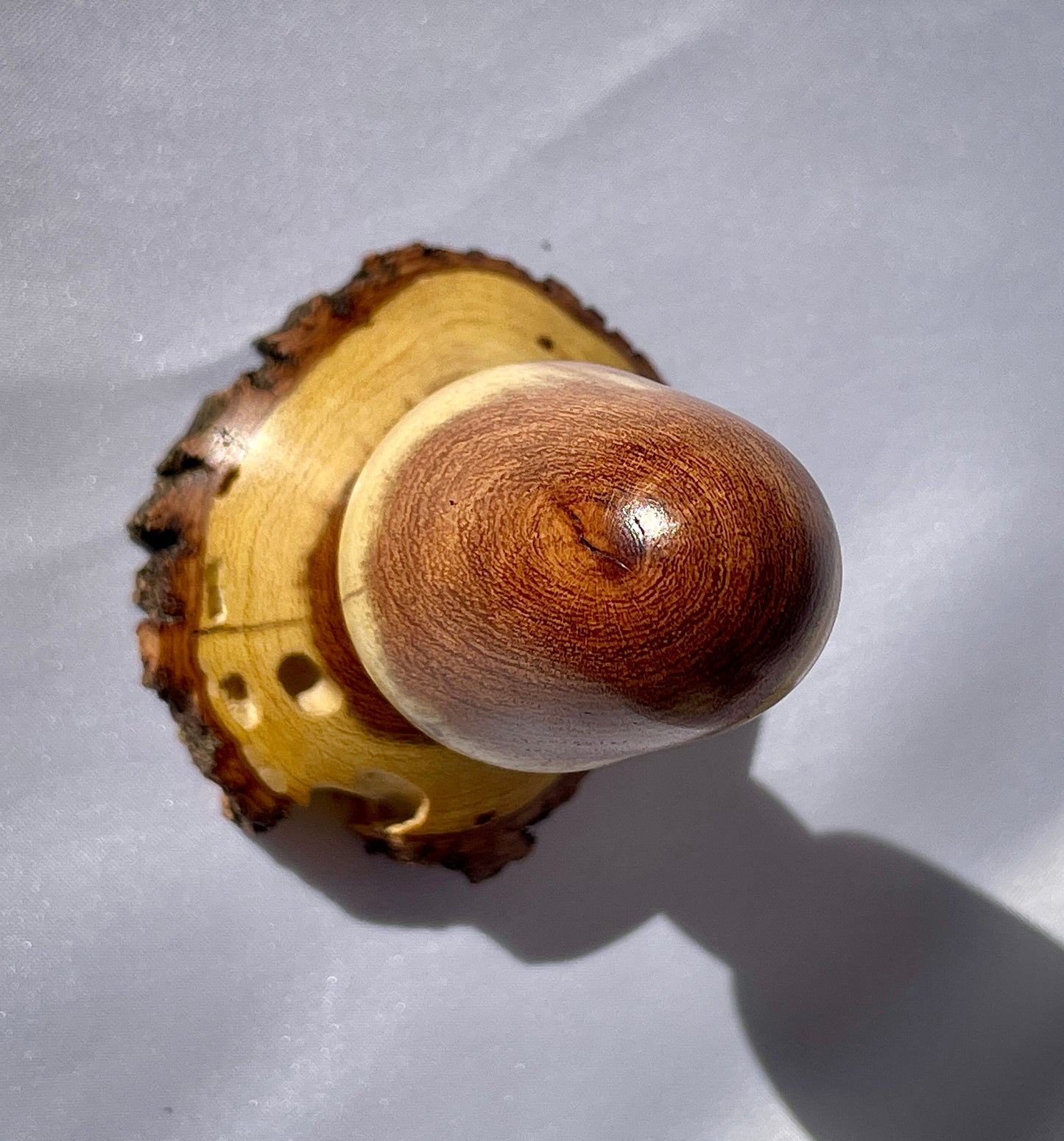 Emerging mushroom