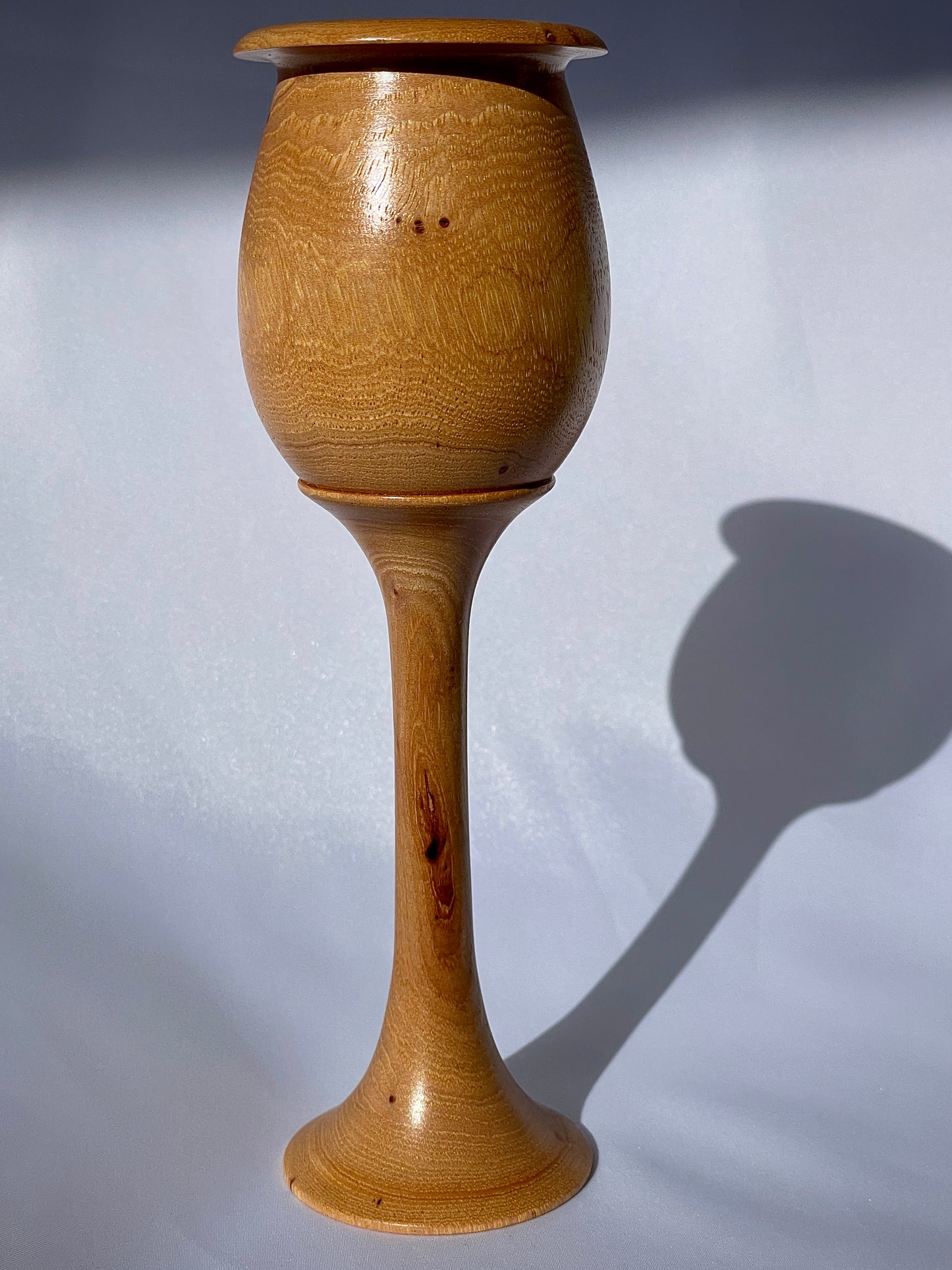 tulip