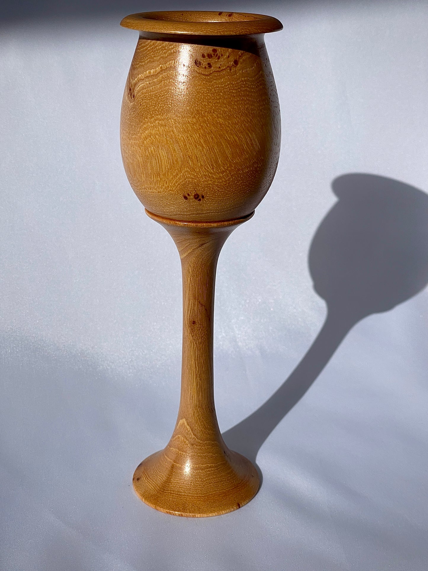 tulip