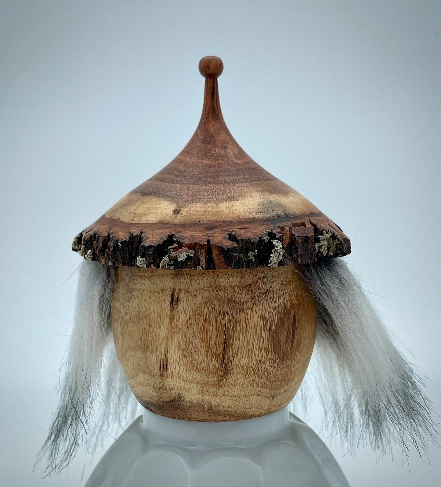 Bearded gnome