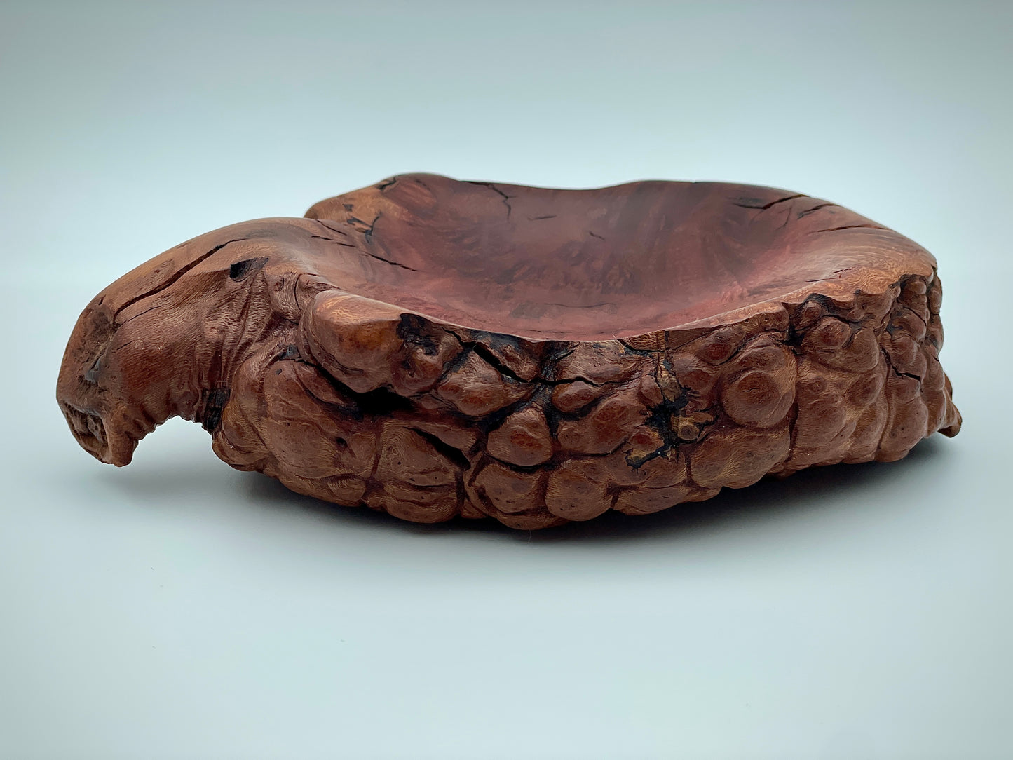Root ball dish