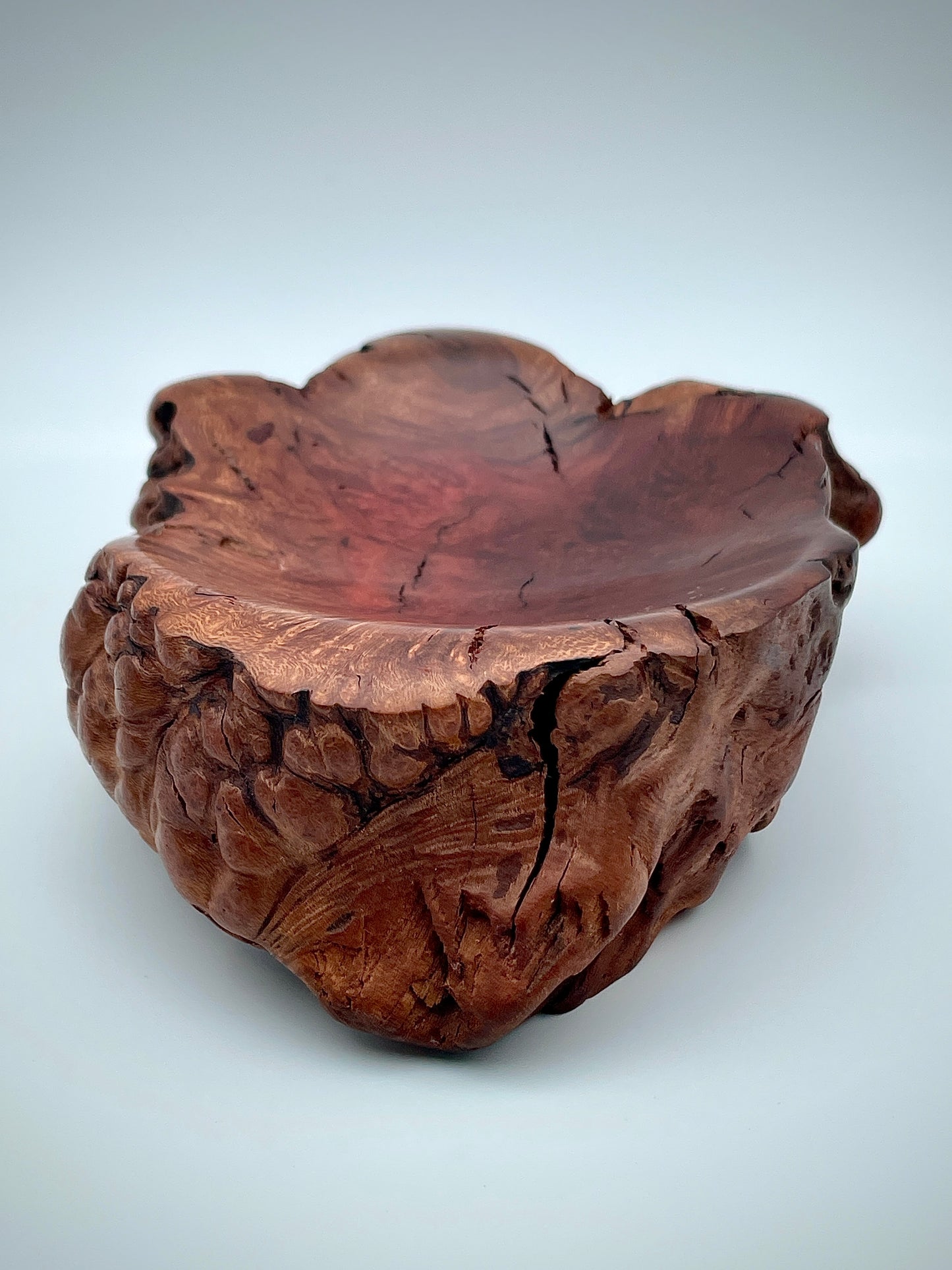 Root ball dish