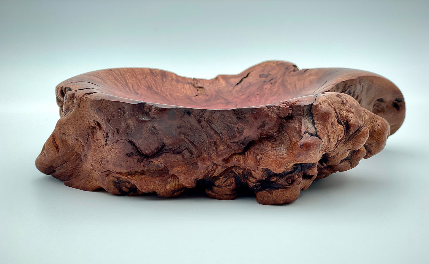 Root ball dish