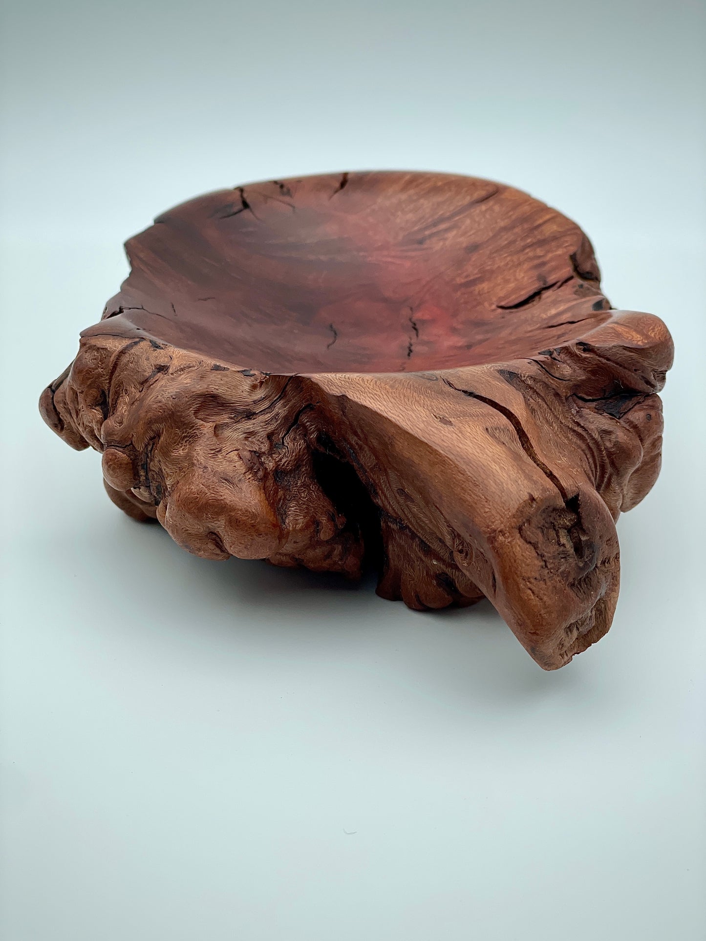 Root ball dish