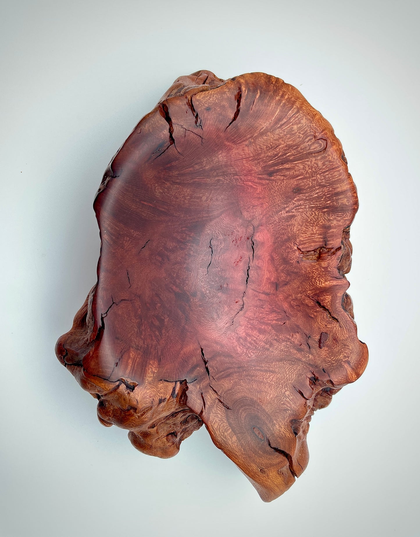 Root ball dish
