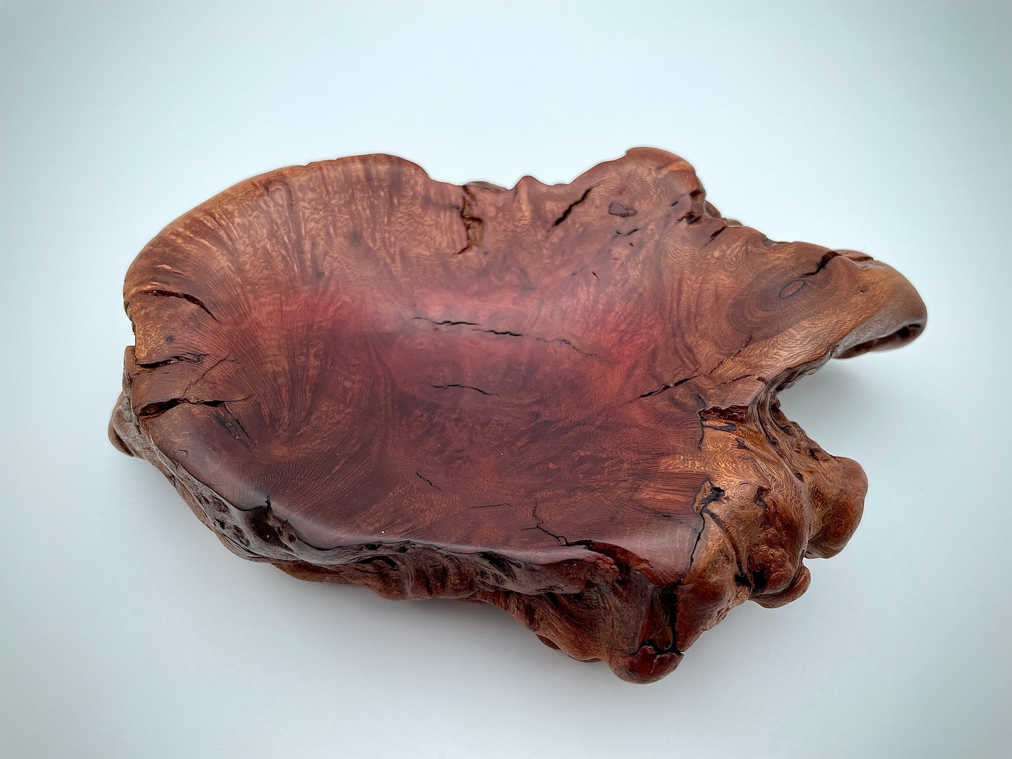 Root ball dish