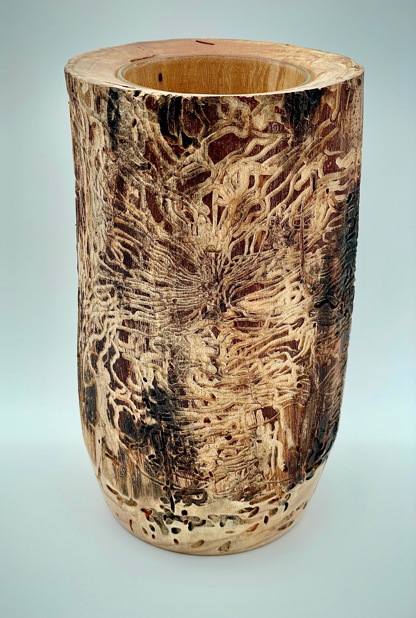 Bug track vase