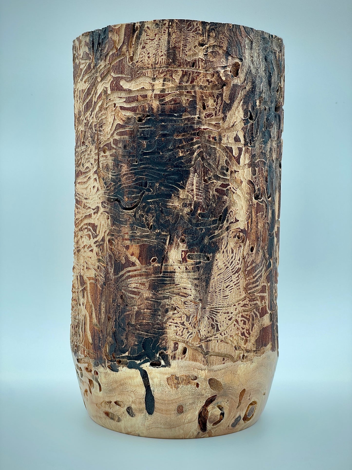 Bug track vase