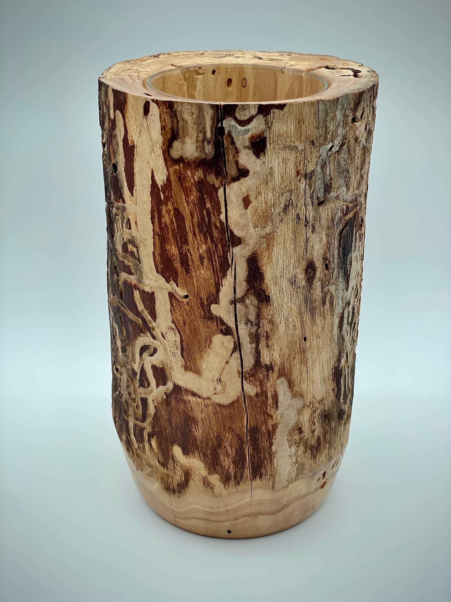 Bug track vase