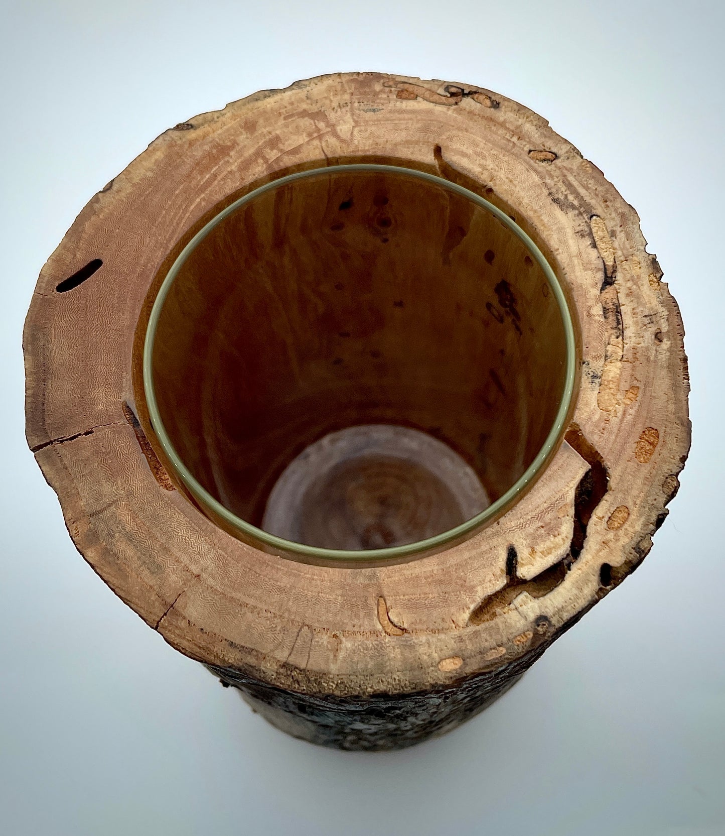 Bug track vase