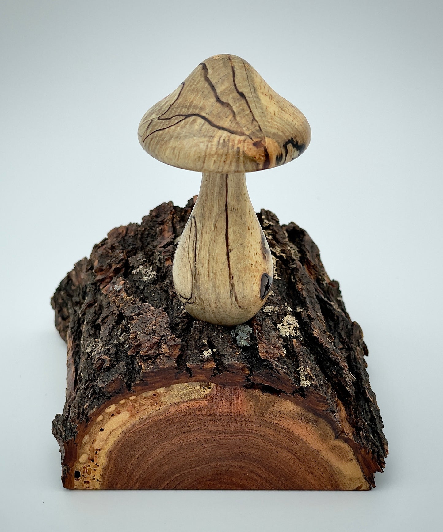 Mushroom on a log