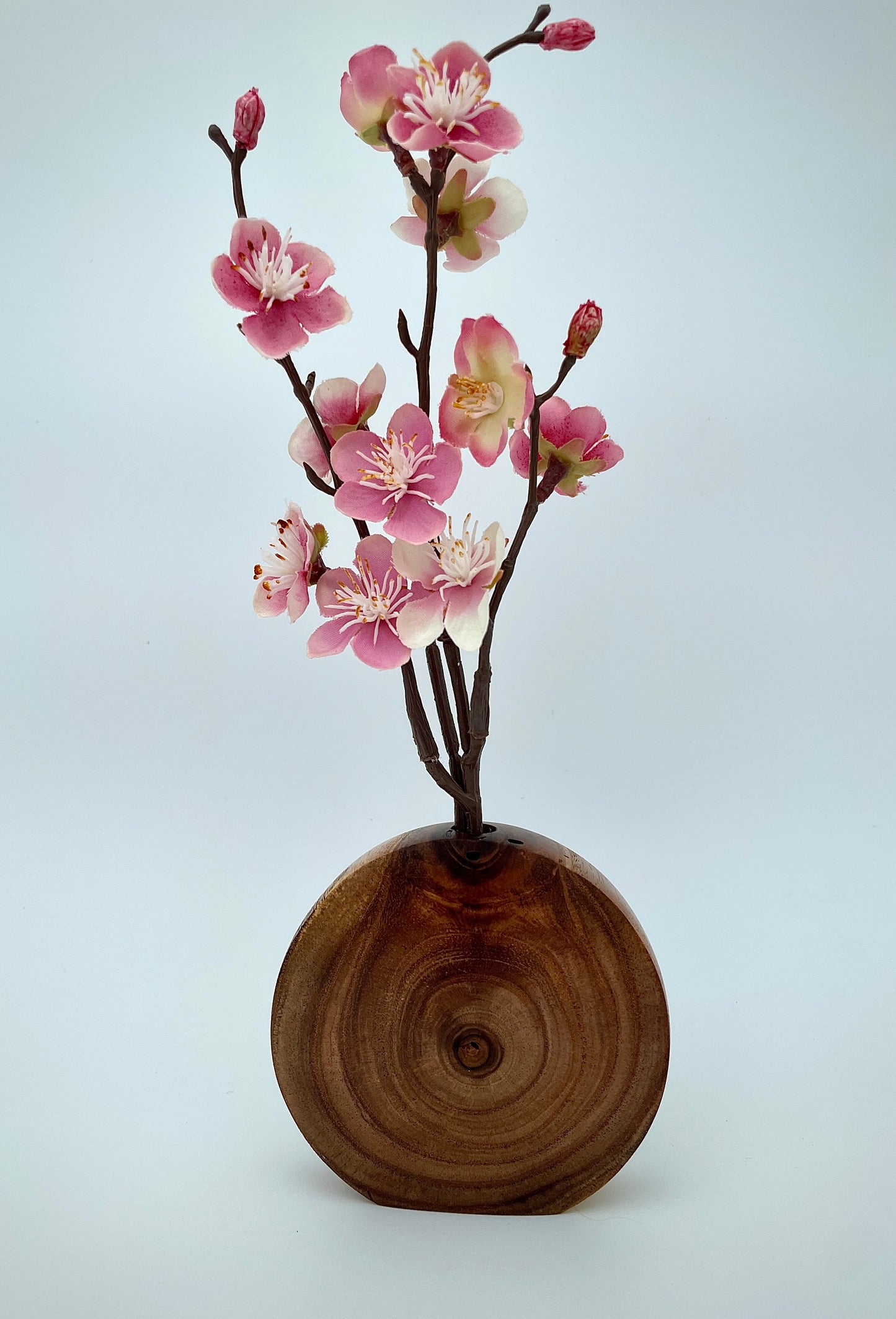 Chinaberry disc vase