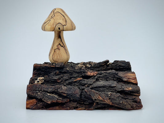 Mushroom on a log