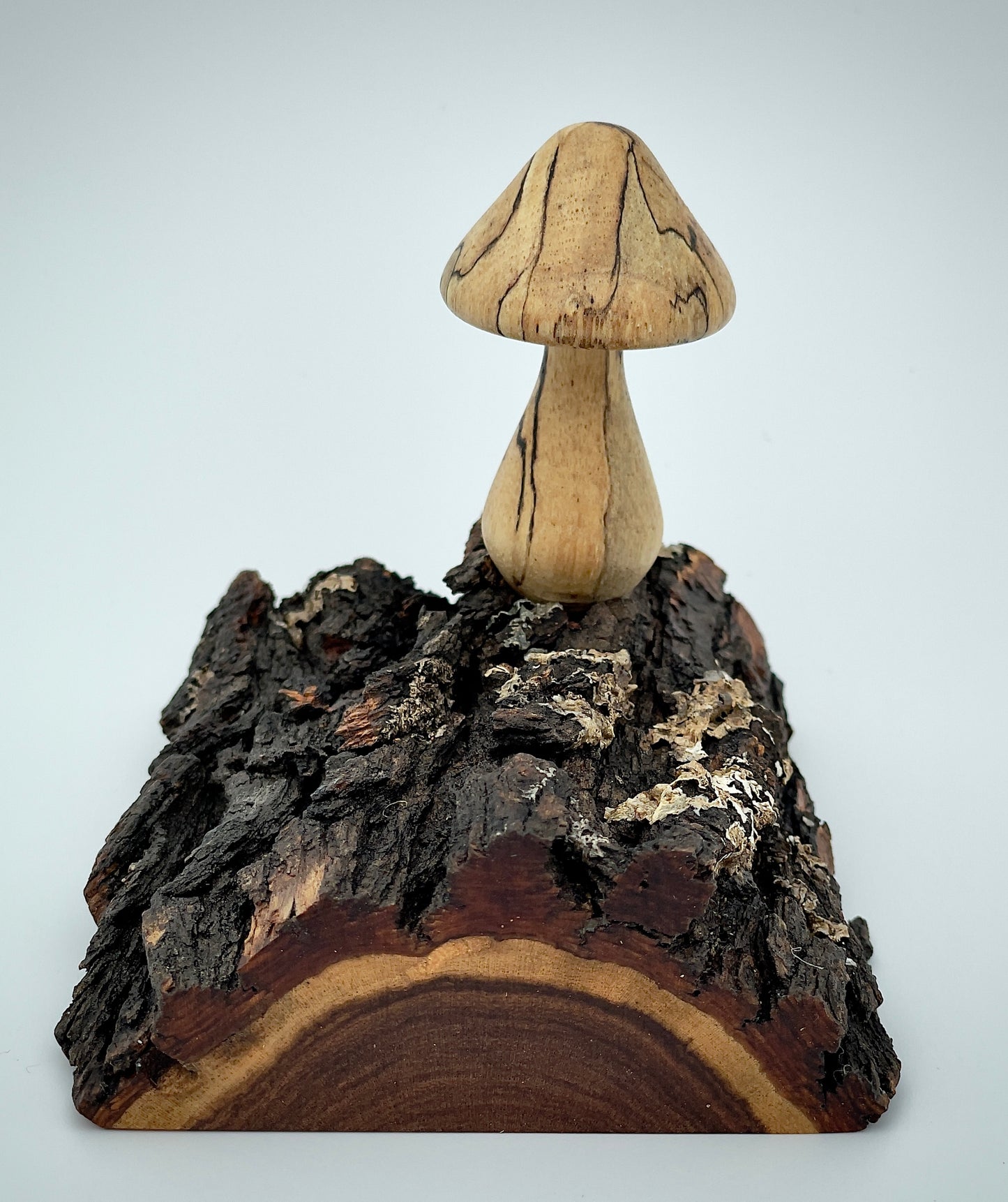 Mushroom on a log