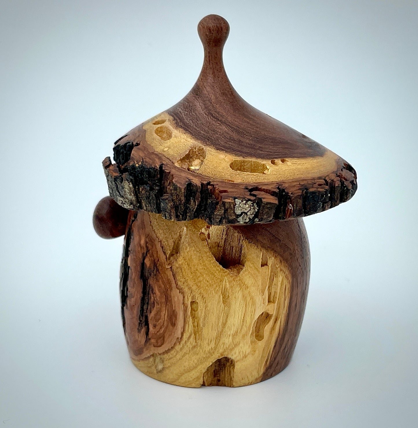 Mesquite gnome