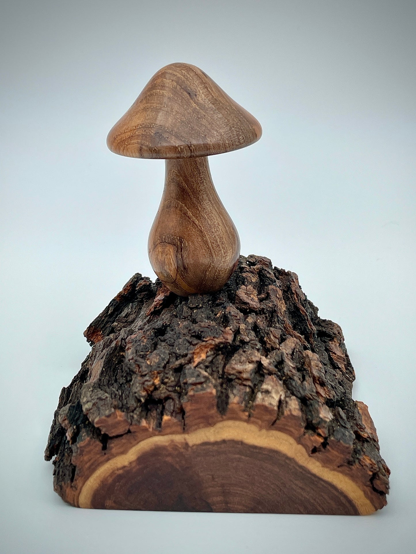 Mushroom on a log