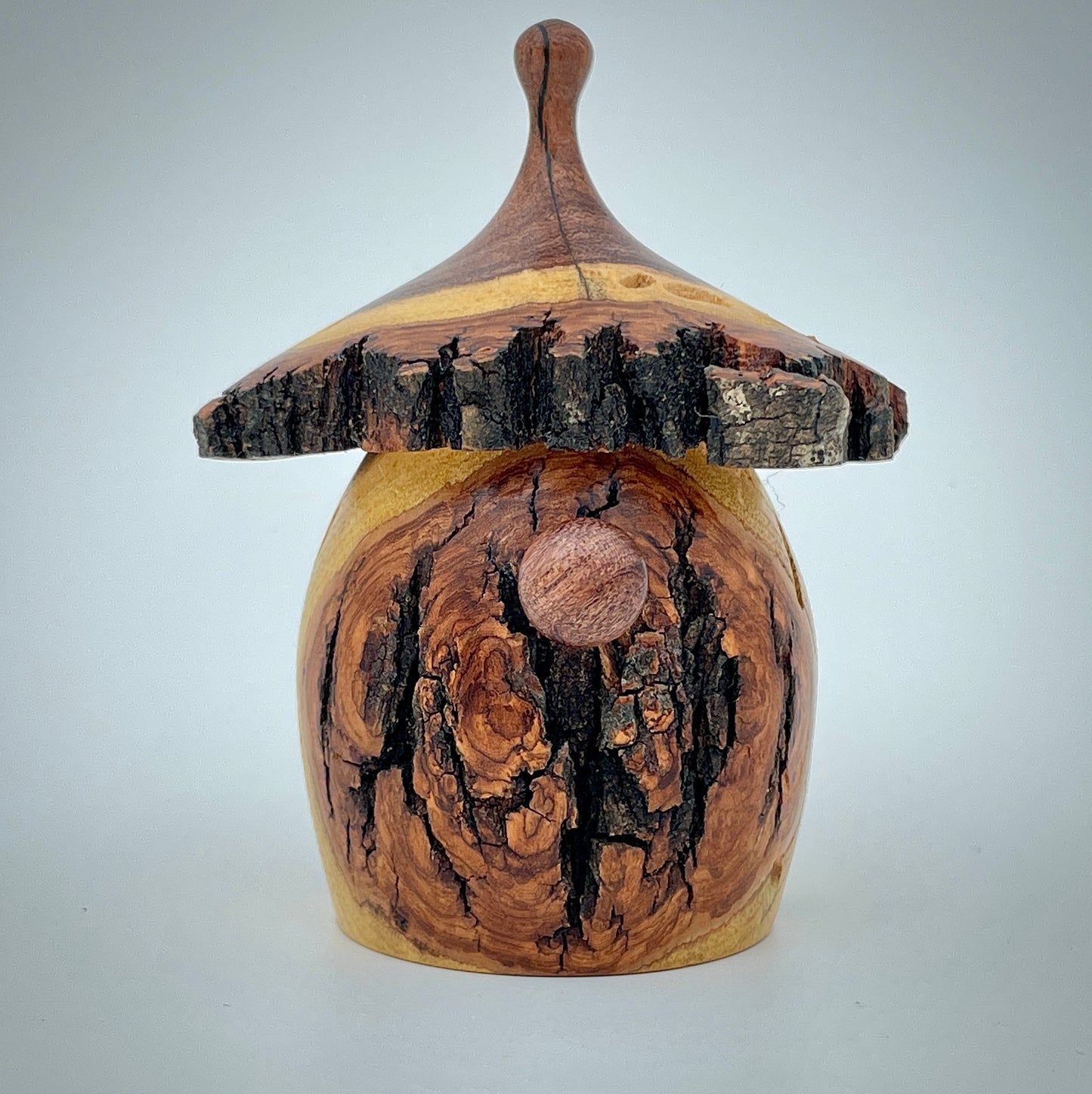 Mesquite gnome