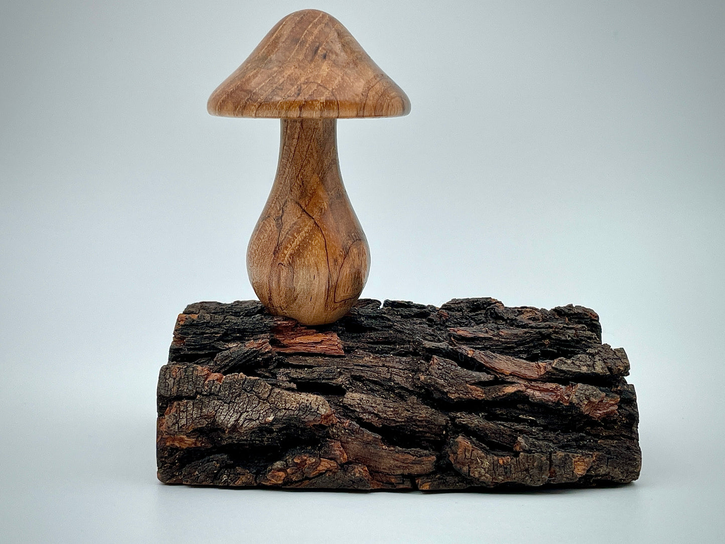 Mushroom on a log