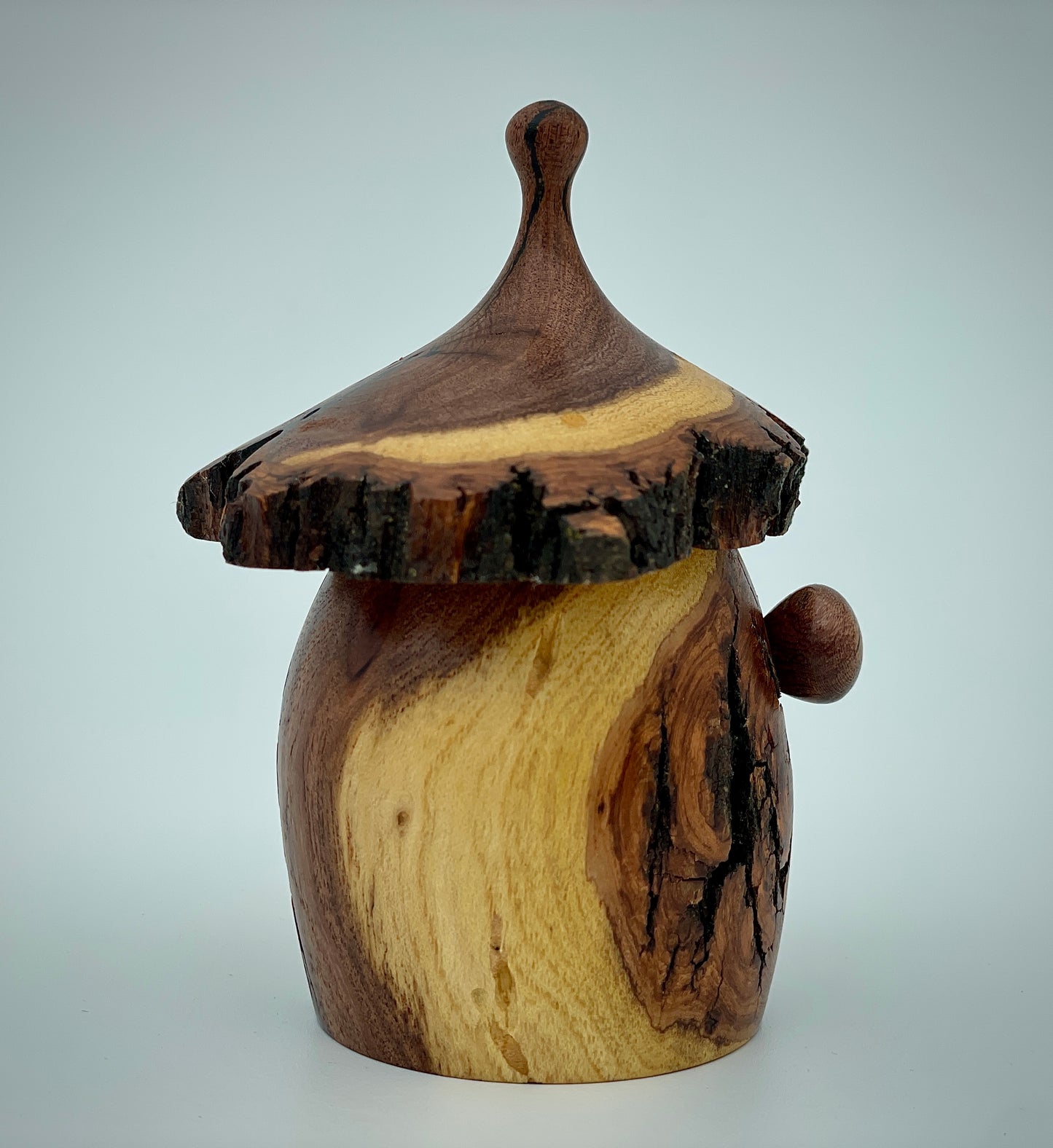 Mesquite gnome