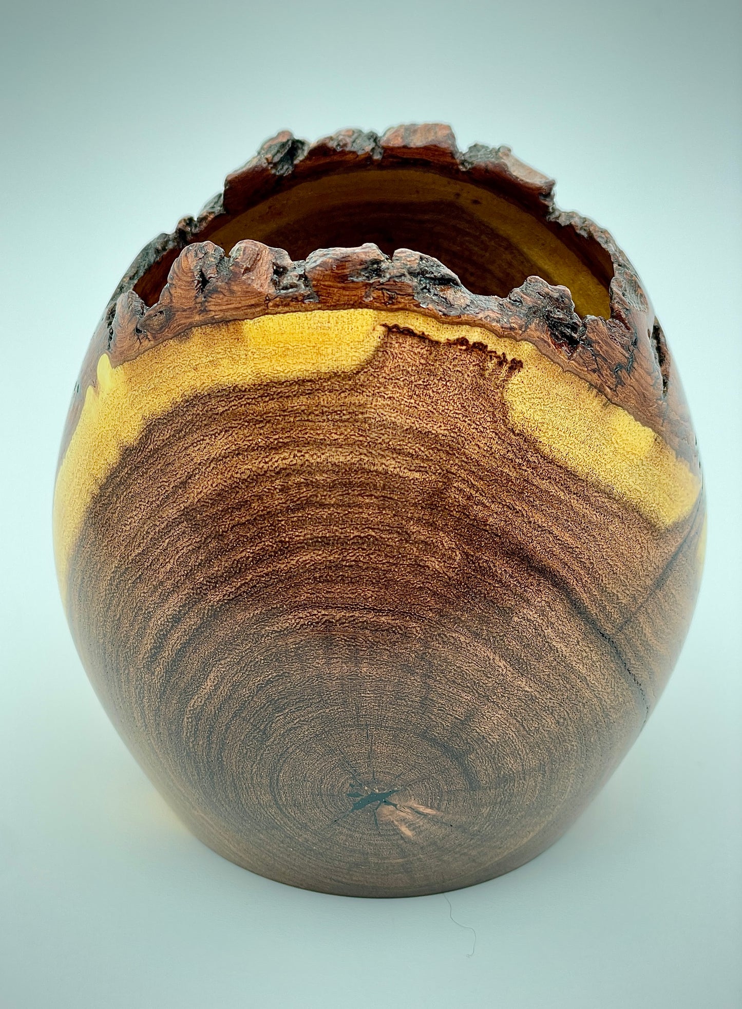 Mesquite live edge vessel