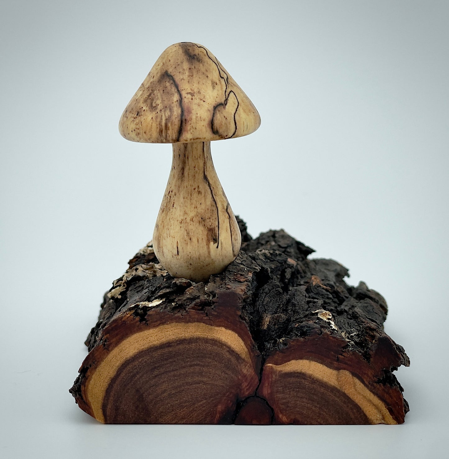 Mushroom on a log