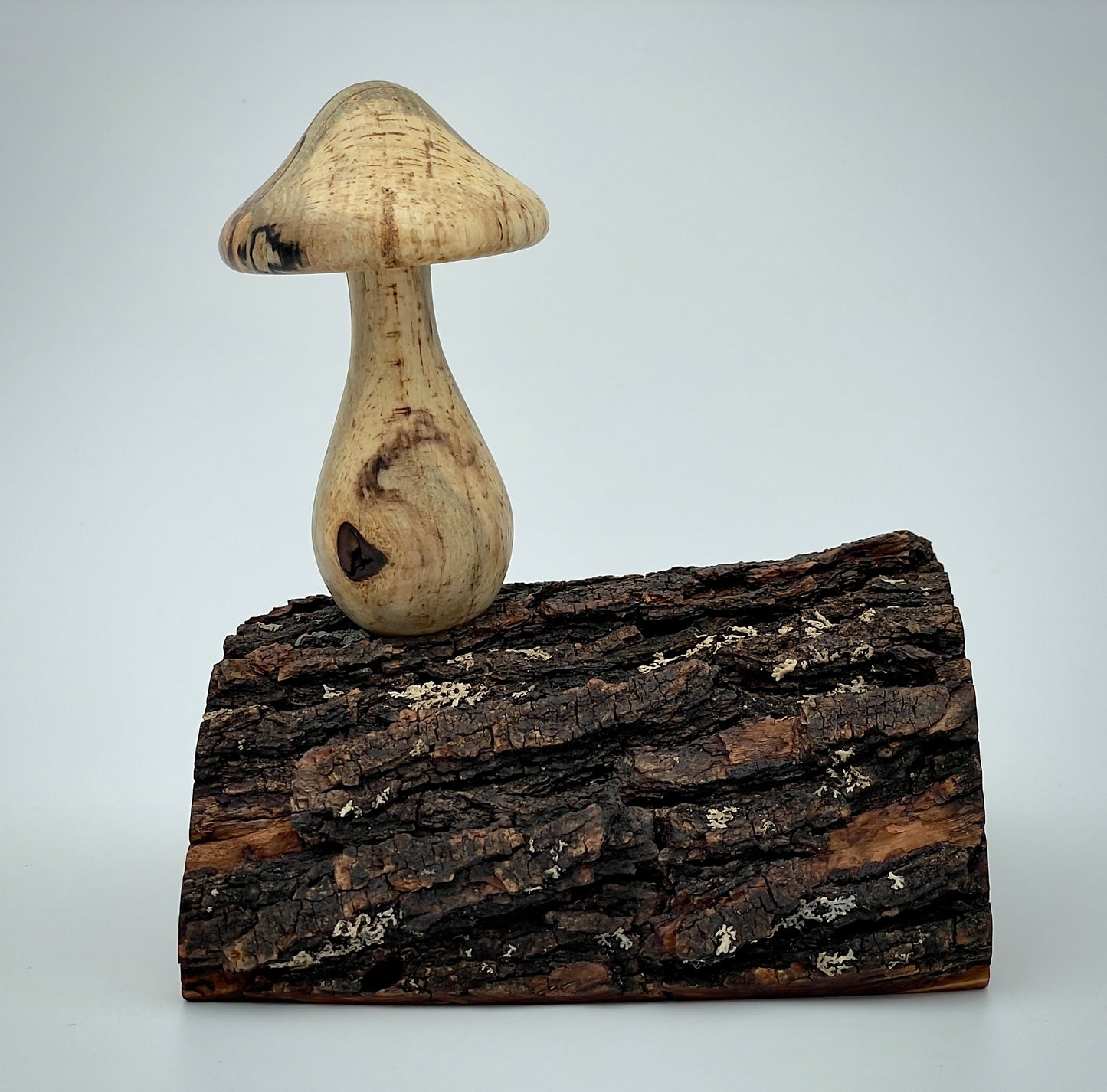 Mushroom on a log