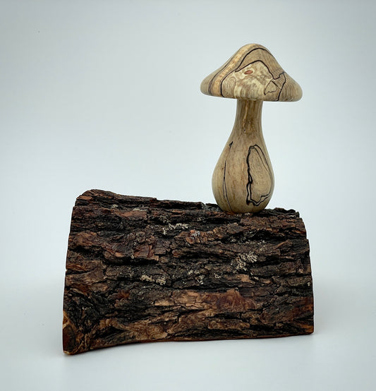 Mushroom on a log