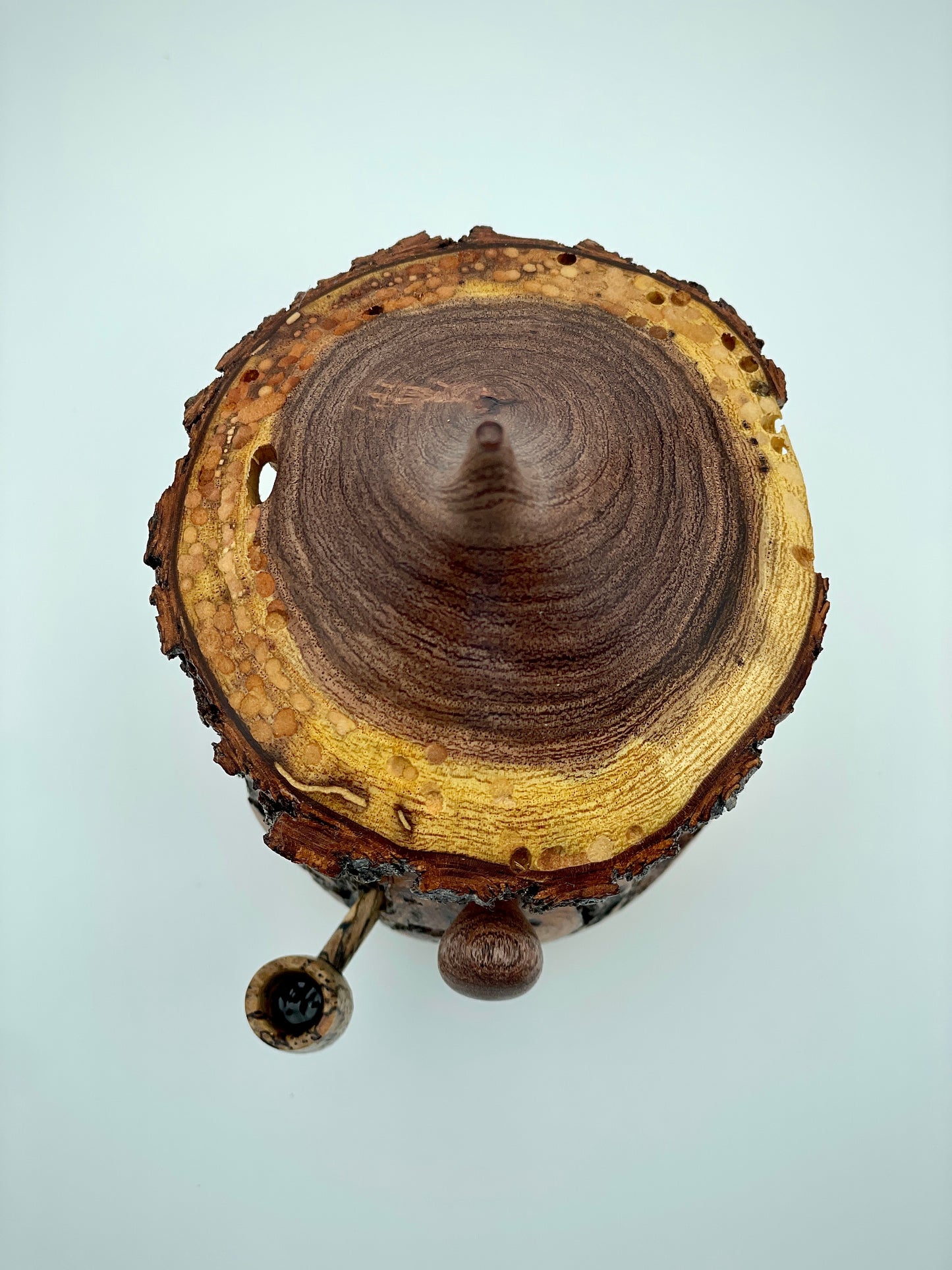 Mesquite gnome
