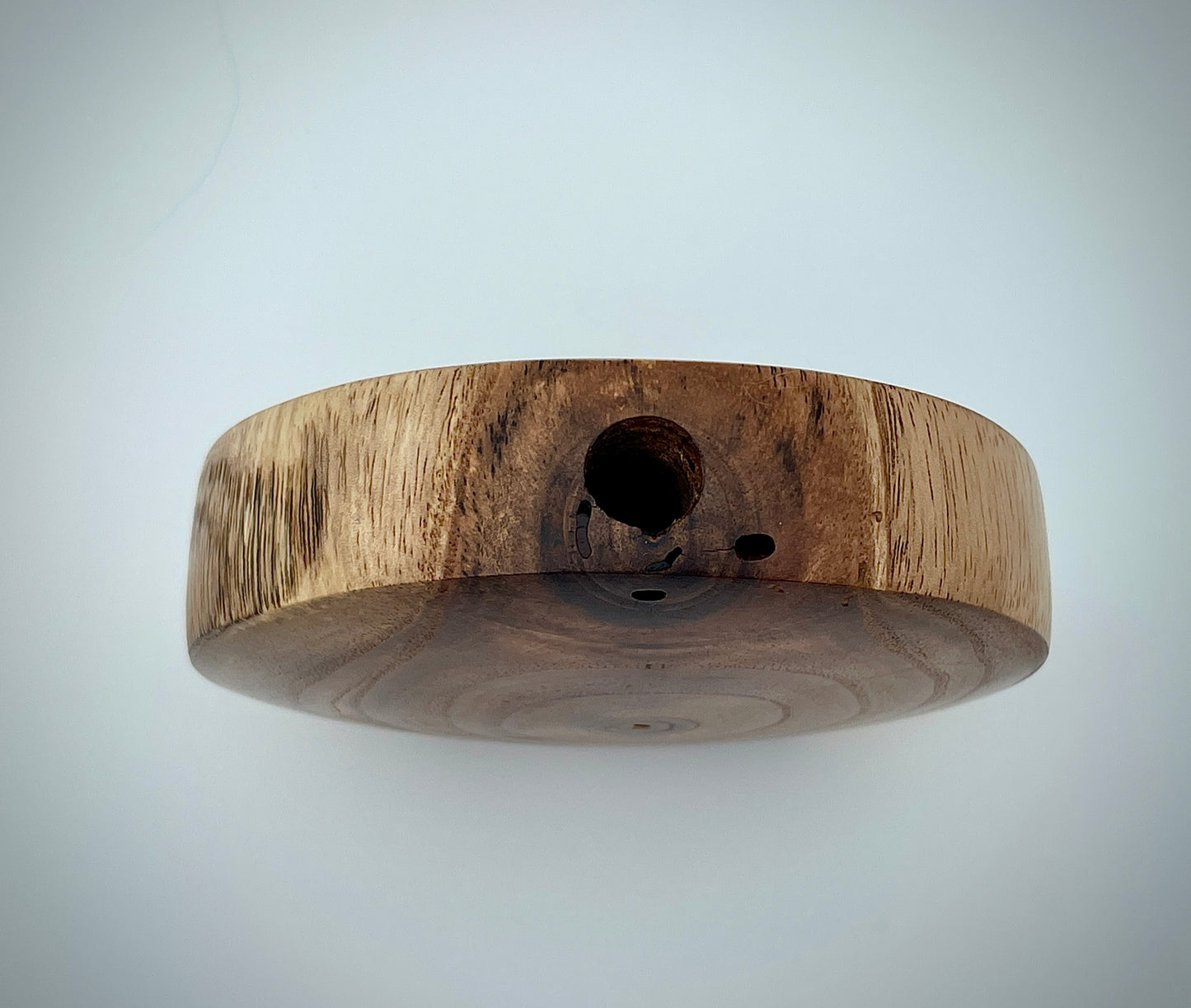 Chinaberry disc vase