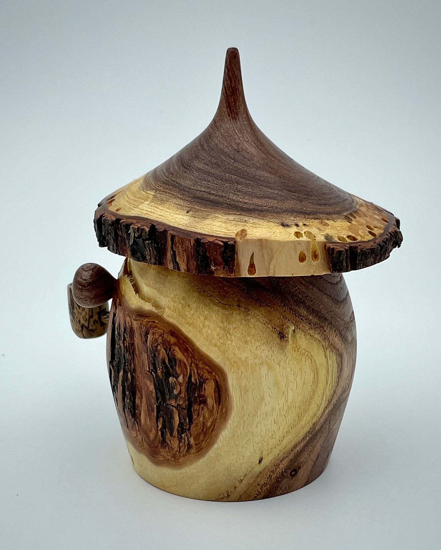 Mesquite gnome