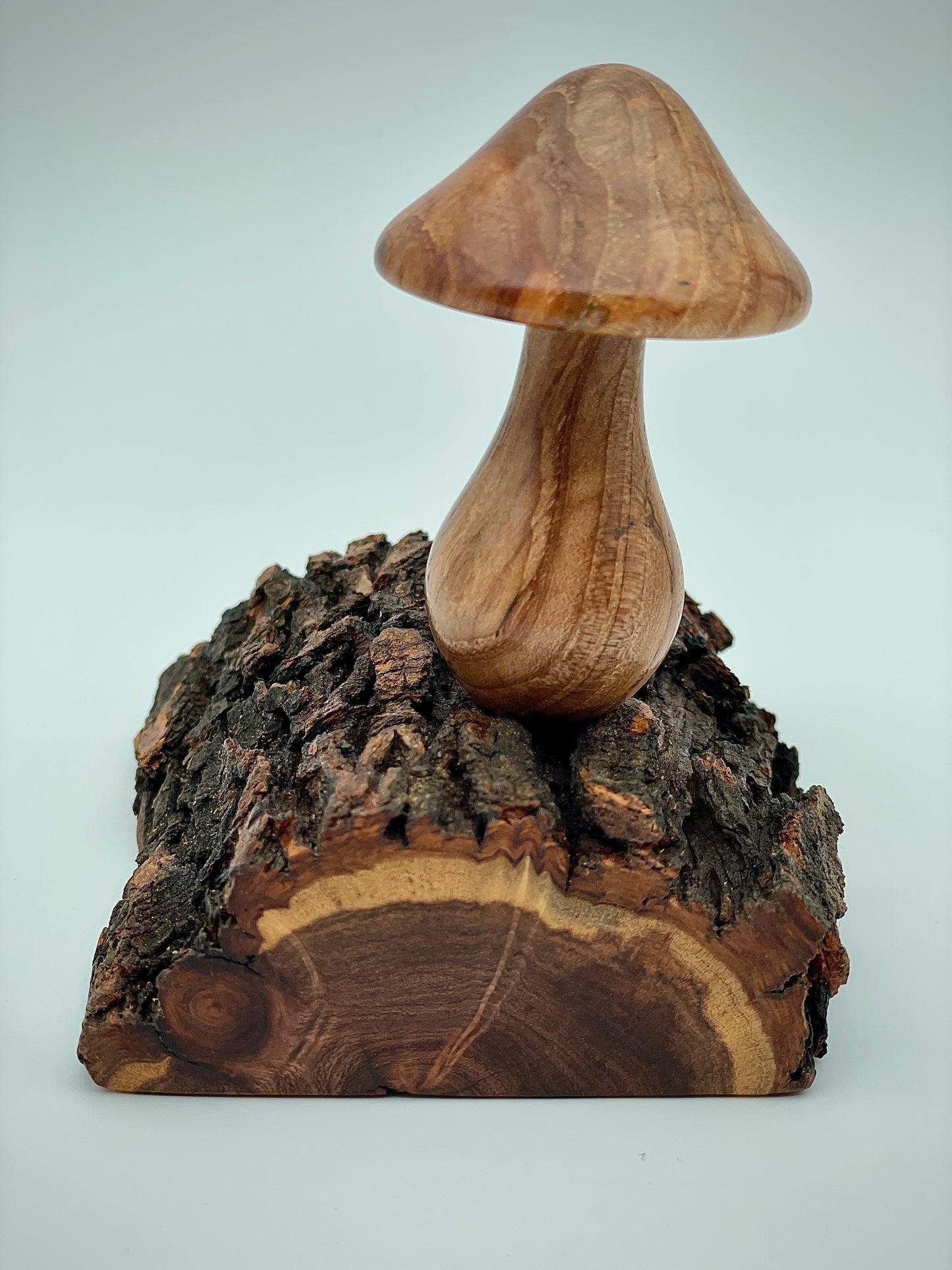 Mushroom on a log