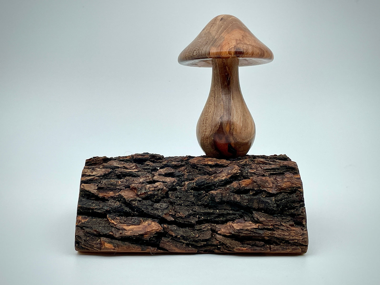 Mushroom on a log
