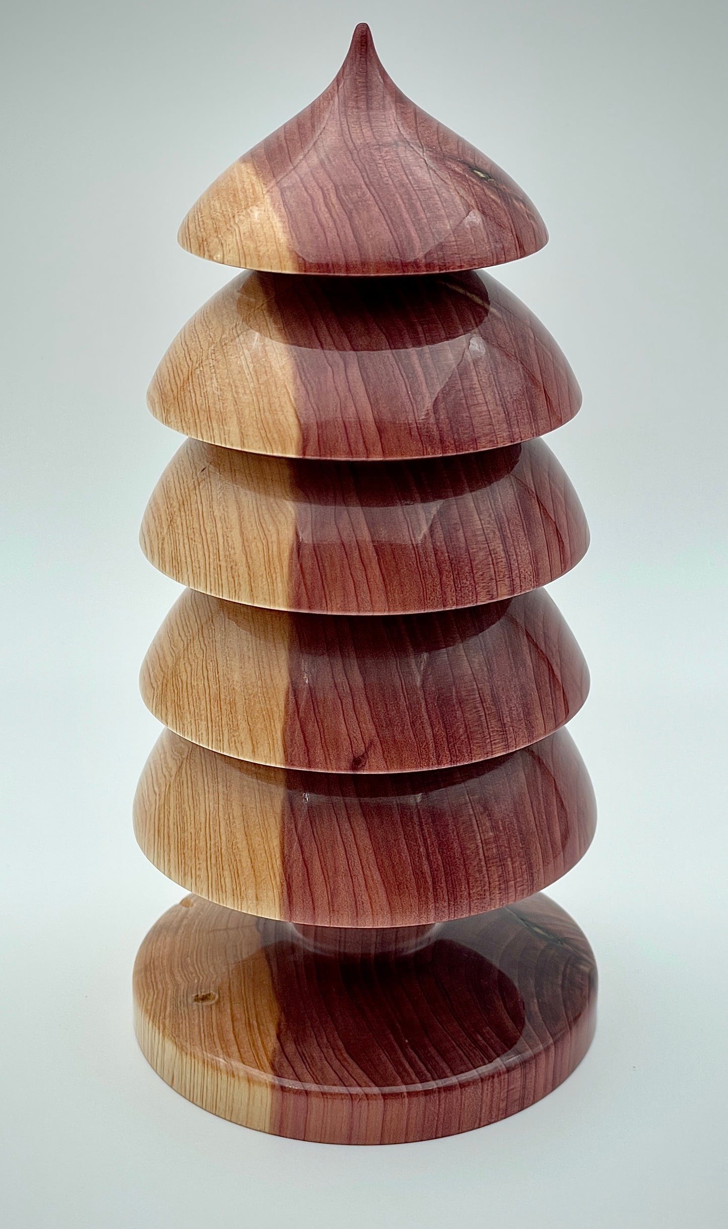 Western redwood tree