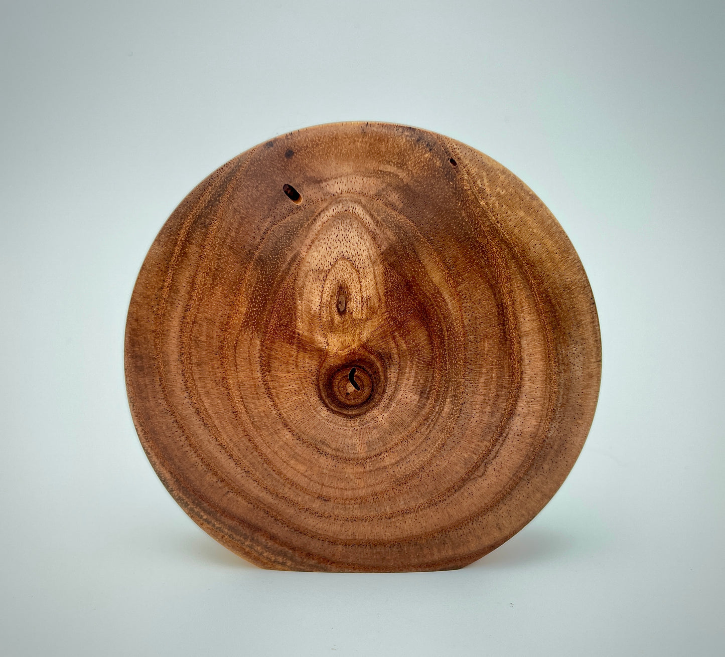 Chinaberry disc vase
