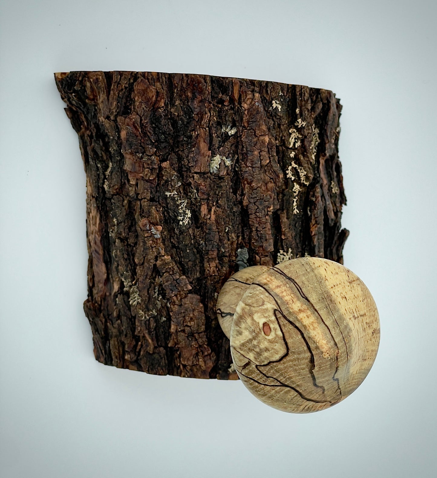 Mushroom on a log